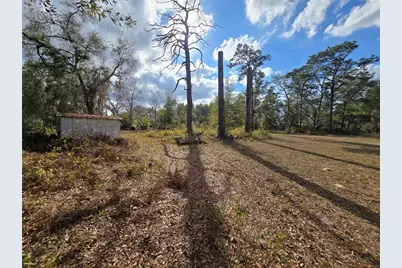 4610 N Ellen Point, Crystal River, FL 34428 - Photo 3