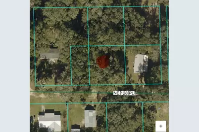 1875 NE 128th Place, Anthony, FL 32617 - Photo 27