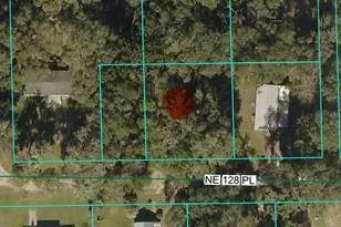 1875 NE 128th Pl, Anthony, FL 32617 - Photo 27