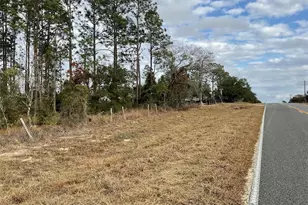 Tbd E Levy St, Williston, FL 32696 - Photo 1