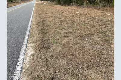 Tbd E Levy Street, Williston, FL 32696 - Photo 3