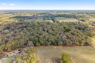 5538 SE Hwy 42, Summerfield, FL 34491 - Photo 43