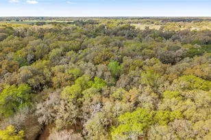 5538 SE Hwy 42, Summerfield, FL 34491 - Photo 41