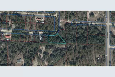 0 NE 50th Place, Williston, FL 32696 - Photo 1