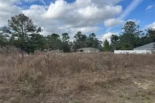 7514 N Voyager Dr, Citrus Springs, FL 34433 - Photo 1