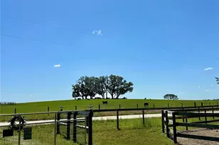 6250 SE 150 Ave, Morriston, FL 32668 - Photo 35