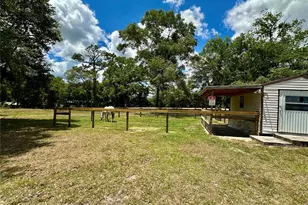 6250 SE 150 Ave, Morriston, FL 32668 - Photo 27