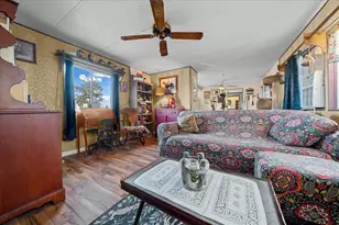 6250 SE 150th Ave, Morriston, FL 32668 - Photo 9