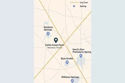 6250 SE 150th Avenue, Morriston, FL 32668 - Photo 45
