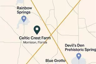 6250 SE 150 Ave, Morriston, FL 32668 - Photo 45