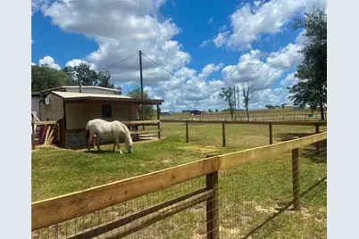 6250 SE 150th Avenue, Morriston, FL 32668 - Photo 29