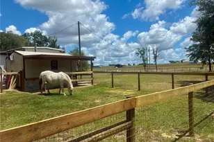 6250 SE 150 Ave, Morriston, FL 32668 - Photo 29