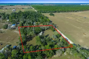 6250 SE 150 Ave, Morriston, FL 32668 - Photo 43