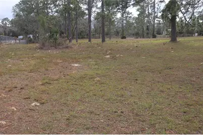 2090 SE 133rd Court, Morriston, FL 32668 - Photo 9
