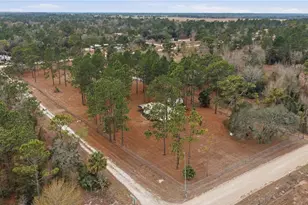 2090 SE 133rd Ct, Morriston, FL 32668 - Photo 47