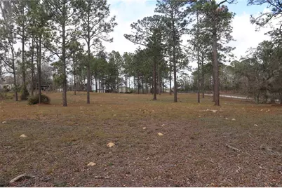 2090 SE 133rd Court, Morriston, FL 32668 - Photo 13