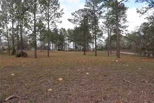 2090 SE 133rd Ct, Morriston, FL 32668 - Photo 13