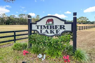 8490 NW 118th Terrace, Ocala, FL 34482 - Photo 91