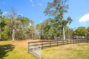 8490 NW 118th Terrace, Ocala, FL 34482 - Photo 85