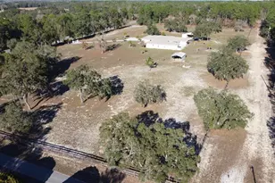 6081 W Pell Pl, Dunnellon, FL 34433 - Photo 57
