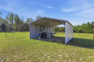 6081 W Pell Pl, Dunnellon, FL 34433 - Photo 41