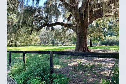 5625 NW 193rd Lane, Orange Lake, FL 32681 - Photo 55