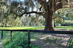 5625 NW 193rd Ln, Orange Lake, FL 32681 - Photo 55