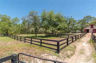 3428 N Bravo Dr, Beverly Hills, FL 34465 - Photo 63