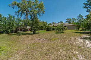 3428 N Bravo Dr, Beverly Hills, FL 34465 - Photo 69