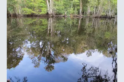 6335 SE 159th Court, Ocklawaha, FL 32179 - Photo 25