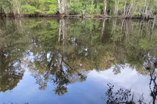 6335 SE 159th Ct, Ocklawaha, FL 32179 - Photo 25