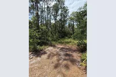 Tbd NE 156th Lane, Fort Mc Coy, FL 32134 - Photo 3