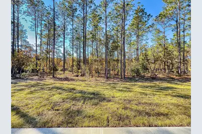 13005 SW 62nd Street Road, Ocala, FL 34481 - Photo 55