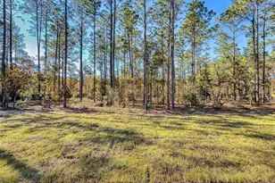 13005 SW 62nd Street Rd, Ocala, FL 34481 - Photo 55