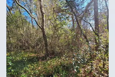 3257 E Kennedy Street, Inverness, FL 34453 - Photo 5