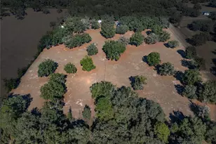 1650 NE 146 Ave, Williston, FL 32696 - Photo 29