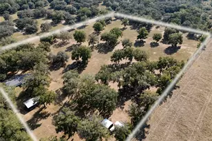 1650 NE 146 Ave, Williston, FL 32696 - Photo 27