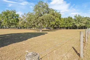 1650 NE 146 Ave, Williston, FL 32696 - Photo 37