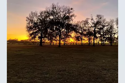 1650 NE 146th Avenue, Williston, FL 32696 - Photo 51