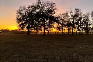 1650 NE 146 Ave, Williston, FL 32696 - Photo 51