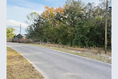 Lot#17 Guava Pass, Ocklawaha, FL 32179 - Photo 3