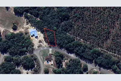 Lot#17 Guava Pass, Ocklawaha, FL 32179 - Photo 7