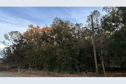 Lot#17 Guava Pass, Ocklawaha, FL 32179 - Photo 5