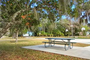 2236 SE 8th Ave, Ocala, FL 34471 - Photo 51