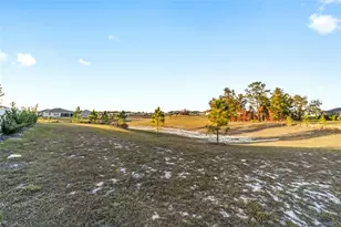 10453 SW 99th Ln, Ocala, FL 34481 - Photo 69