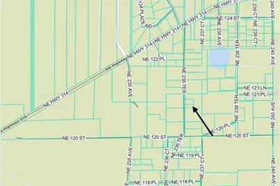 Tbd NE 236 Terrace, Fort Mc Coy, FL 32134 - Photo 5