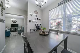 11329 Bridge Pine Dr, Riverview, FL 33569 - Photo 5