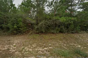Lot 11 Unit 6 Blk 364 Kenmore Circle, Chipley, FL 32428 - Photo 1