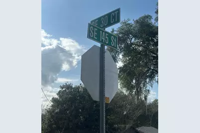 0 SE 30th Court, Summerfield, FL 34491 - Photo 7