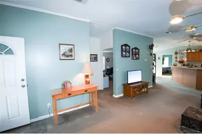 201 Plumosa Drive, Georgetown, FL 32139 - Photo 3